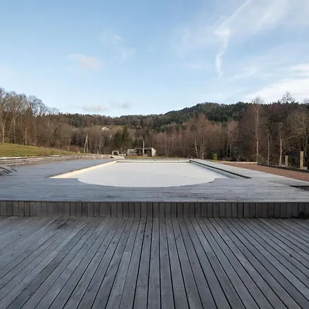 Ferienhaus 10 Personnes Acces Pmr Aux Normes Avec Grande Piscine Sapois (Vosges)
