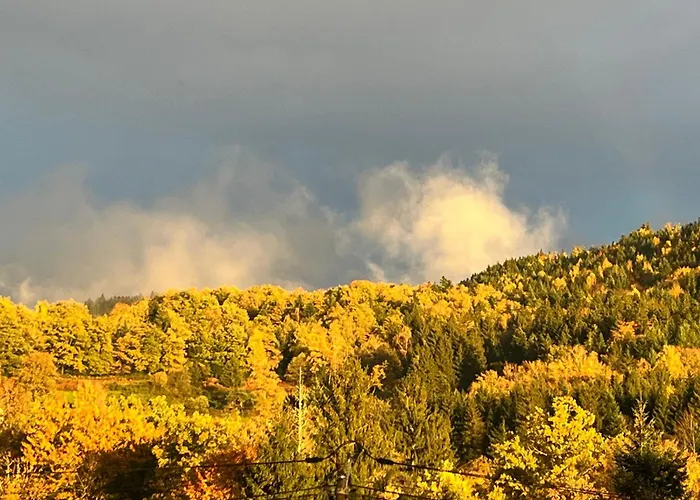 10 Personnes Acces Pmr Aux Normes Avec Grande Piscine *